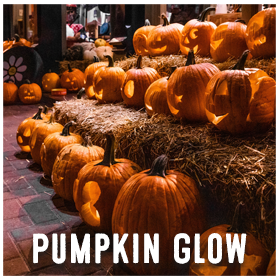 Pumpkin Glow - Image 