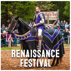 Renaissance Festival - Image 